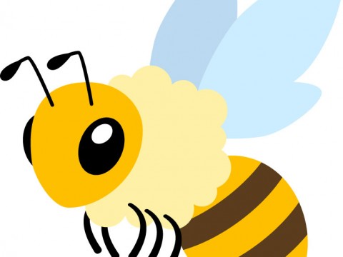 屋根裏に巣を作りやすい蜂の種類
