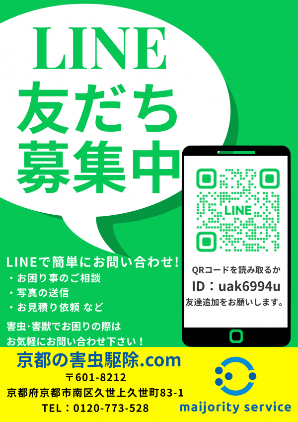 公式LINEから害虫駆除のご相談が簡単にできるようになりました！サムネイル